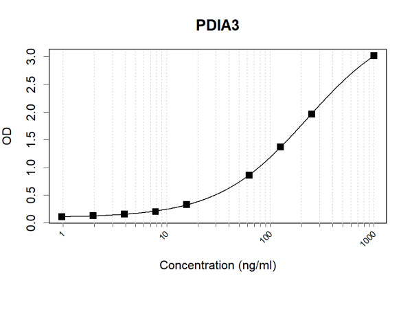 Anti-Human ERp57 Antibody Pair