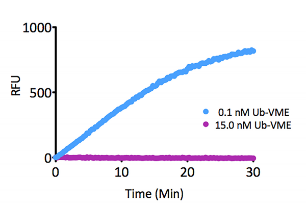 Ubiquitin vinyl methyl ester (human) (rec.)