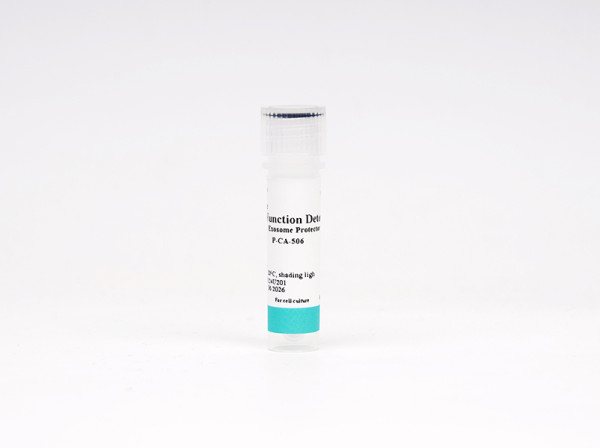 Exosome Protector