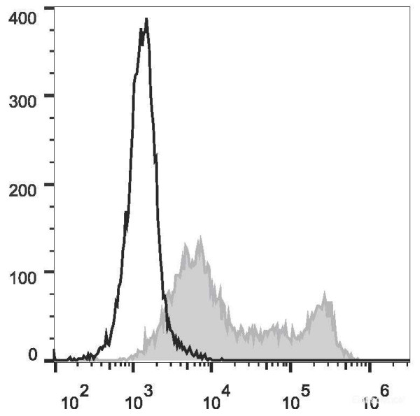 Anti-Mouse CD86 (FITC Conjugated)[GL-1], clone GL-1