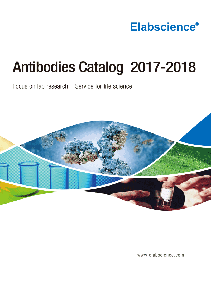 Elabscience Antibody Catalog