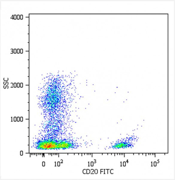 Anti-CD20, clone LT20 (FITC)