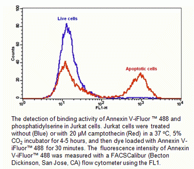 Cell Meter(TM) Annexin V Binding Apoptosis Assay Kit, Green Fluorescence Optimized for Flow Cytomet