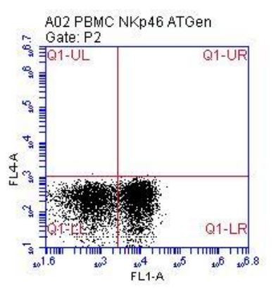 Anti-NCR1, clone n1D9