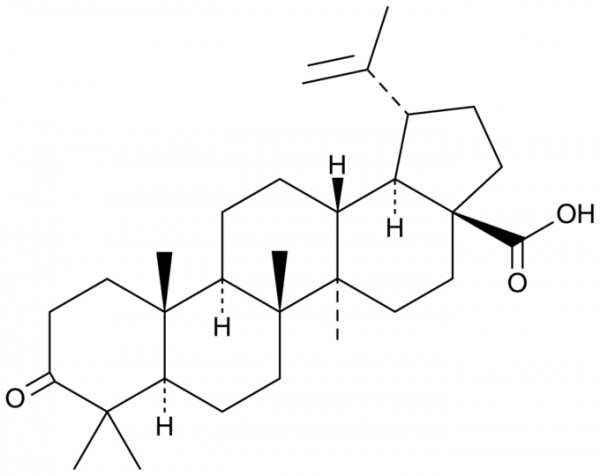Betulonic Acid