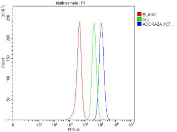 Anti-ADORA2A / Adenosine receptor A2A