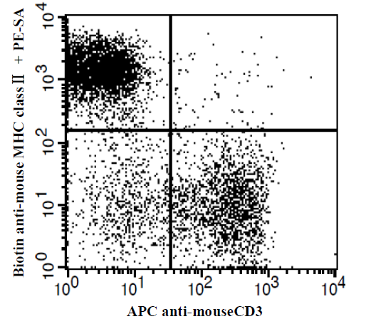 Anti-Galectin 3, clone 8D7