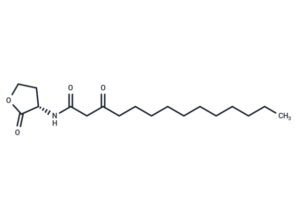 N-3-oxo-tetradecanoyl-L-Homoserine lactone