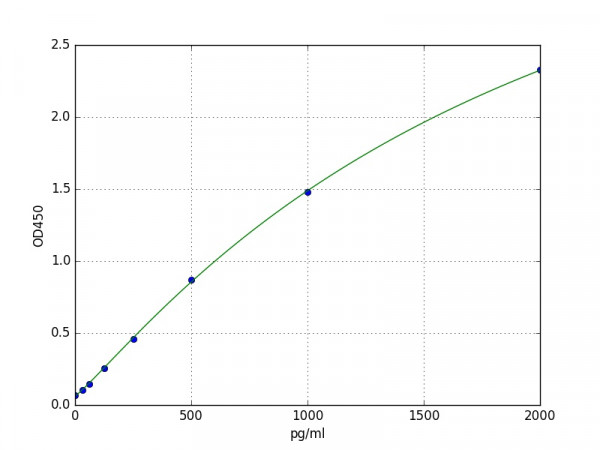 Rabbit il 8 ELISA Kit