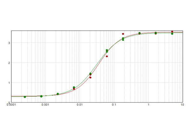Anti-Rabbit IgG [H&amp;L] [Donkey] (Min X Bv Ch Gt GP Ham Hs Hu Ms Rt &amp; Sh serum proteins) F(ab')2 fragm