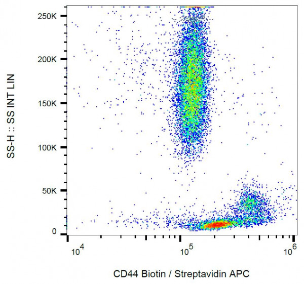 Anti-CD44, clone MEM-85 (Biotin)