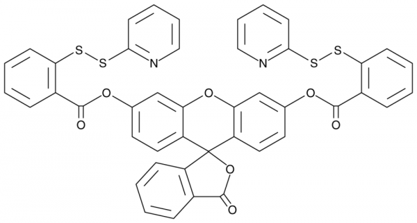 WSP-5