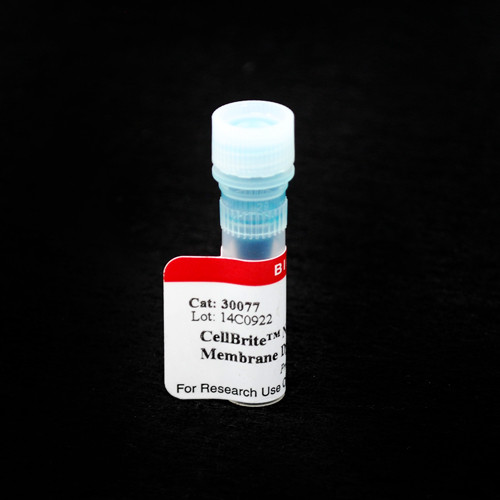 CellBrite(TM) NIR750 Cytoplasmic Membrane Dye, 2 mM in DMSO