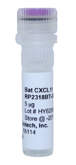 Bat CXCL11 Recombinant Protein (I-TAC), fruit-eating jamaican (jfrCXCL11)