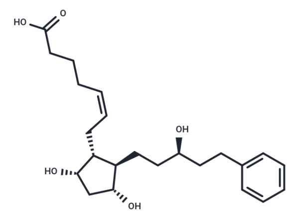 Latanoprost acid