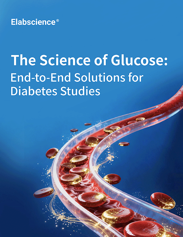 End-to-End Solutions for Diabetes Studies