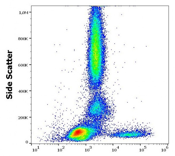 Anti-IgM, clone CH2 (FITC)