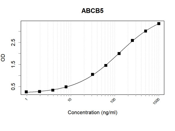 Anti-Human ABCB5 Antibody Pair