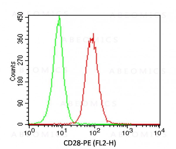 Anti-CD28 (Clone: CB28)