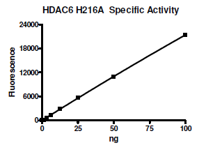 HDAC6 (H216A), GST-tag