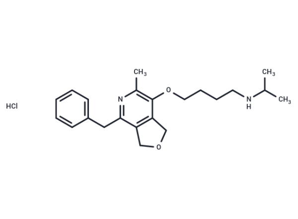 Barucainide HCl