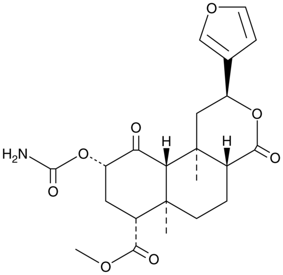 Salvinorin A Carbamate