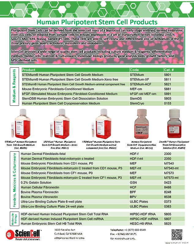 Human Pluripotent Stem Cells & Media