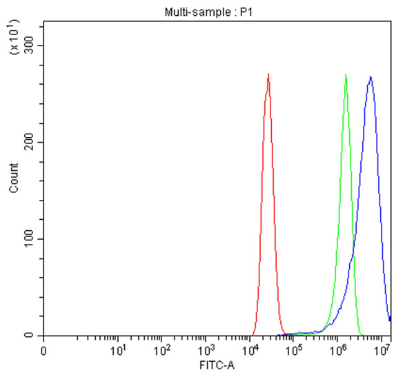 Anti-DCT / TRP2
