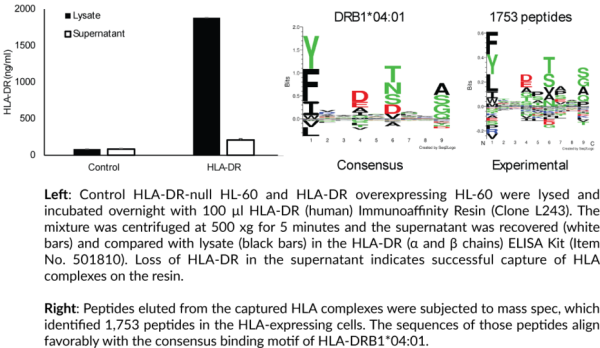 Anti-HLA-DR (human) Immunoaffinity Resin (Clone L243)