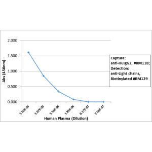 Anti-IgG2 (human), Rabbit Monoclonal (RM118)