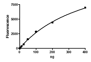 USP10, active human recombinant protein, N-terminal FLAG-tag