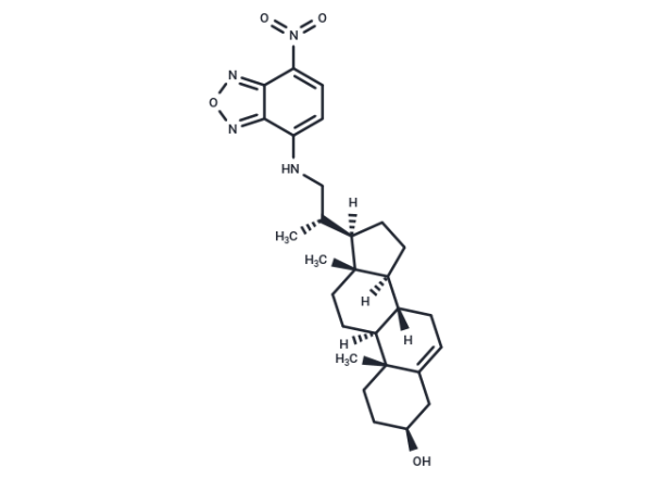 22-NBD Cholesterol