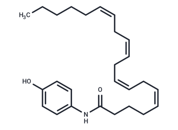AM404