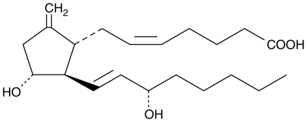 9-deoxy-9-methylene Prostaglandin E2