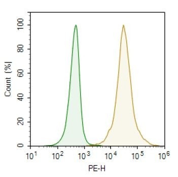 BCMA / Luciferase - CHO Recombinant Cell Line