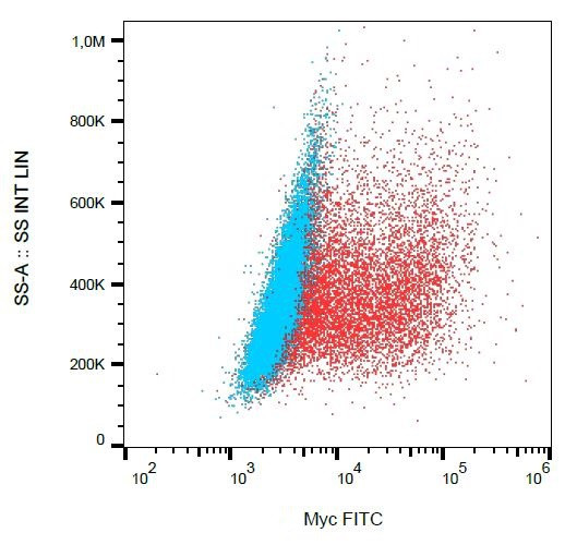 Anti-c-Myc, clone 9E10 (FITC)