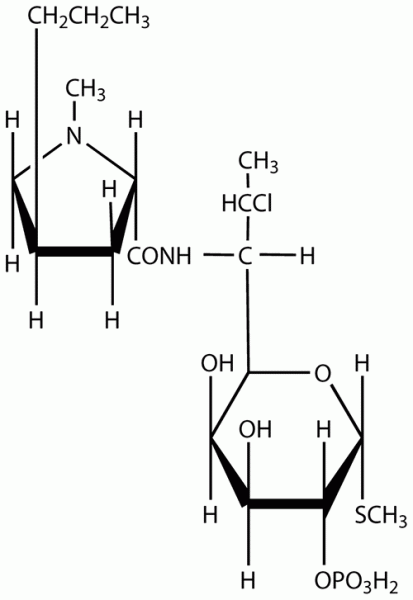 Clindamycin phosphate