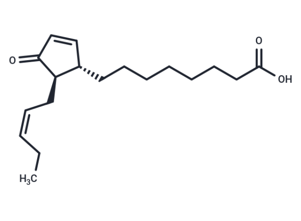 13-epi-12-oxo Phytodienoic Acid