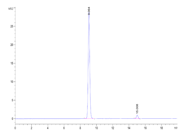 Rat Serum Albumin Protein