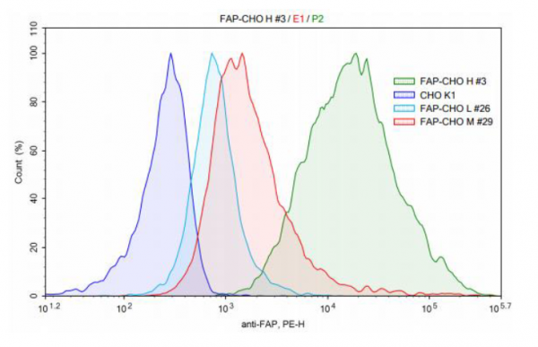 FAP- CHO K1 Recombinant Cell Line (Medium Expression)