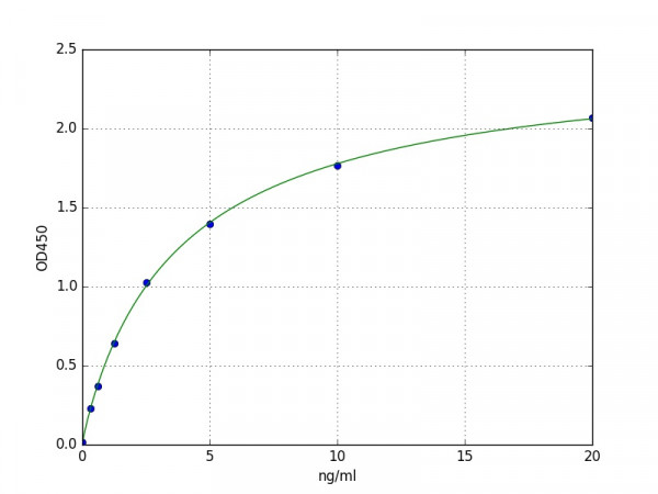 Human MEK5 ELISA Kit