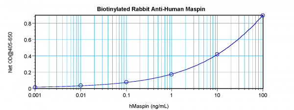 Anti-Maspin (Biotin)