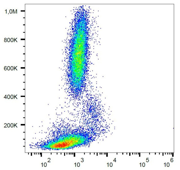 Anti-CD54, clone 1H4 (PerCP)