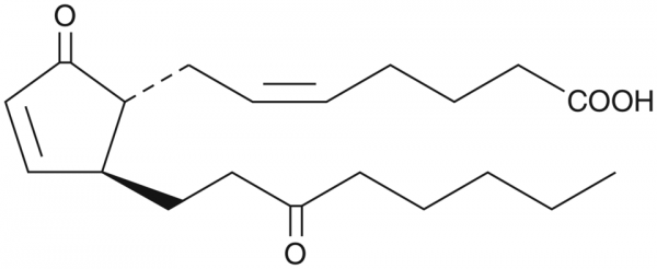 13,14-dihydro-15-keto Prostaglandin A2