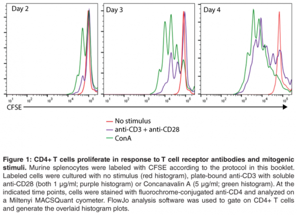 CFSE Cell Division Assay Kit