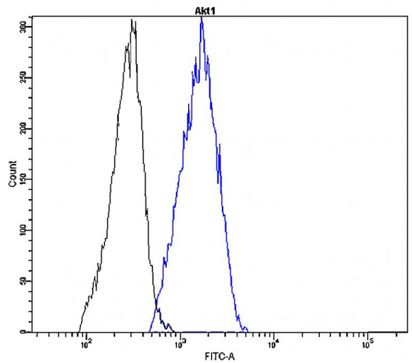 Anti-Akt1 (FITC), clone V19-T