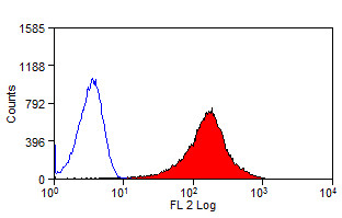 Anti-CD276 / B7-H3 (RPE), clone MJ8