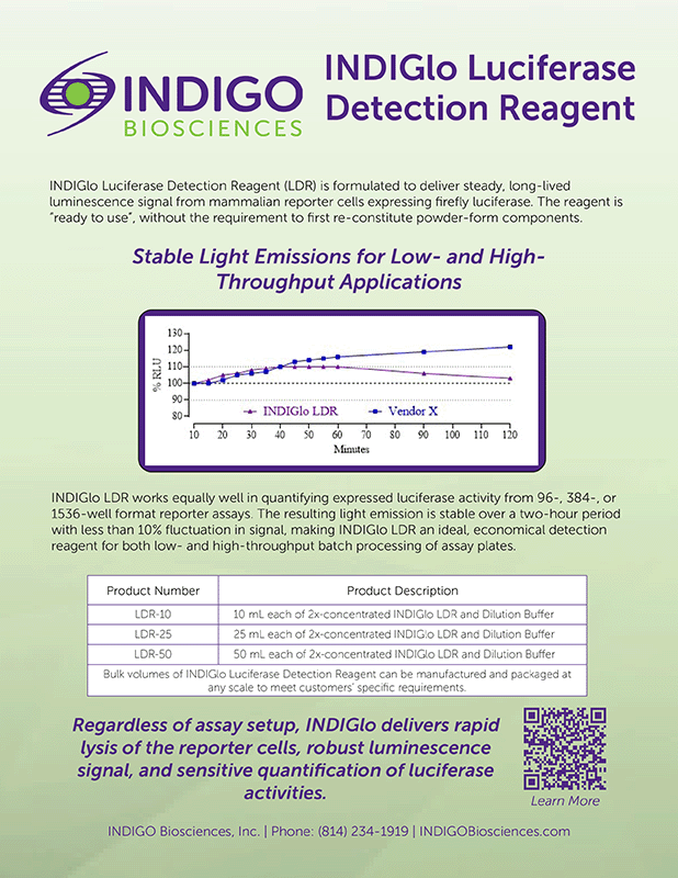 Indigo Biosciences INDIGlo Luciferase Detection Reagent
