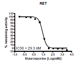 RET Assay Kit