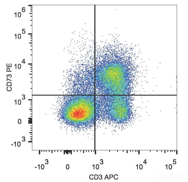 Anti-Mouse CD73, PE conjugated, clone TY/23